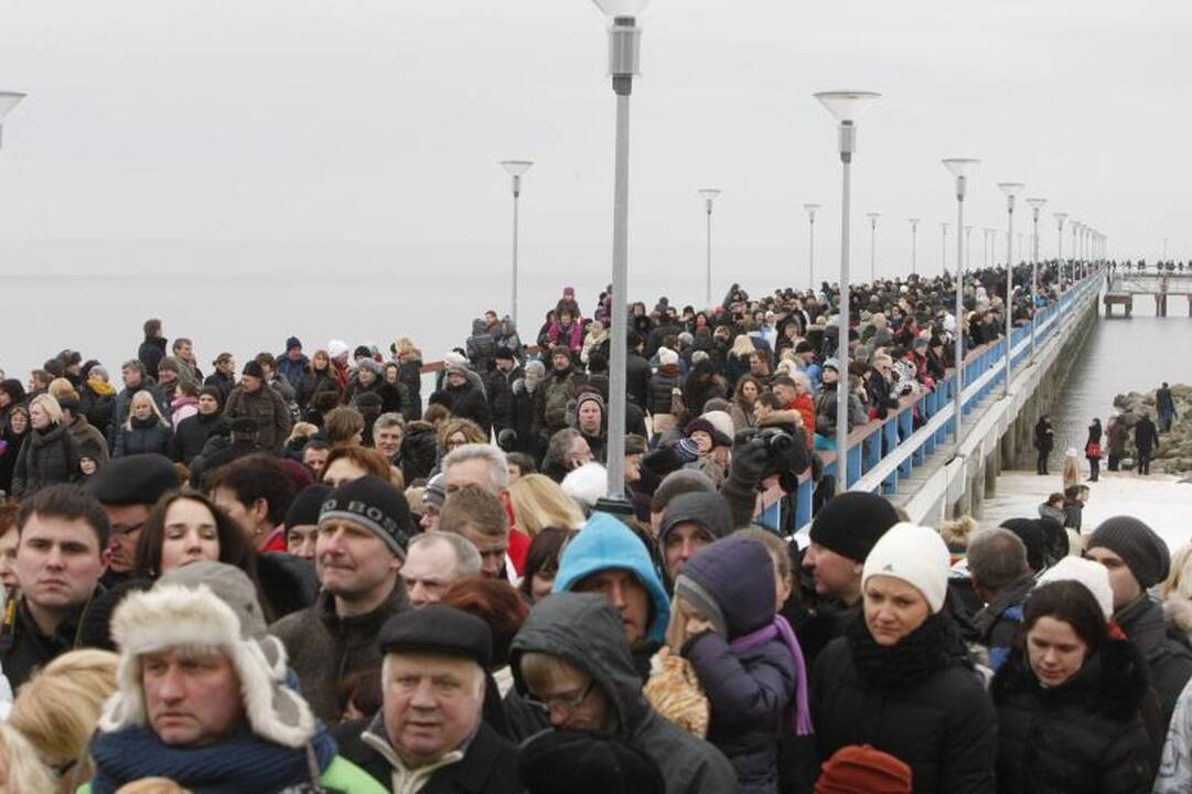 Ruonių maudynėse Palangoje – ir veteranai, ir naujokai