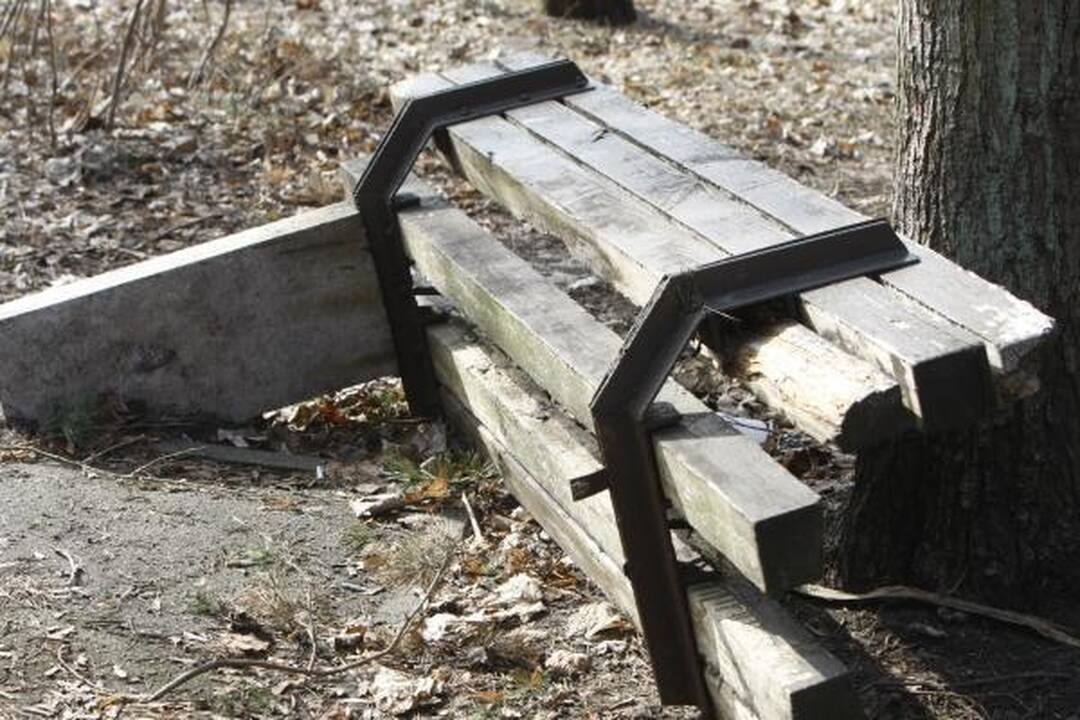 Klaipėdos poilsio parke virsta medžiai