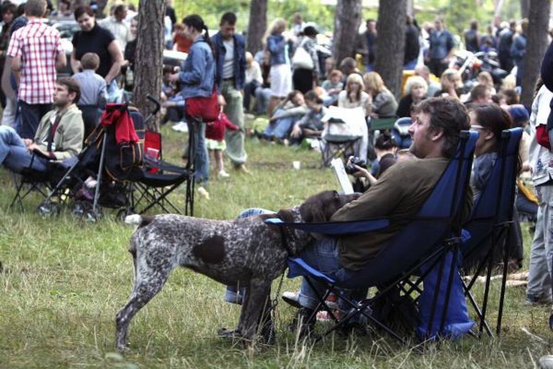 Bardų festivalio „Akacijų alėja“ programa ir dalyviai