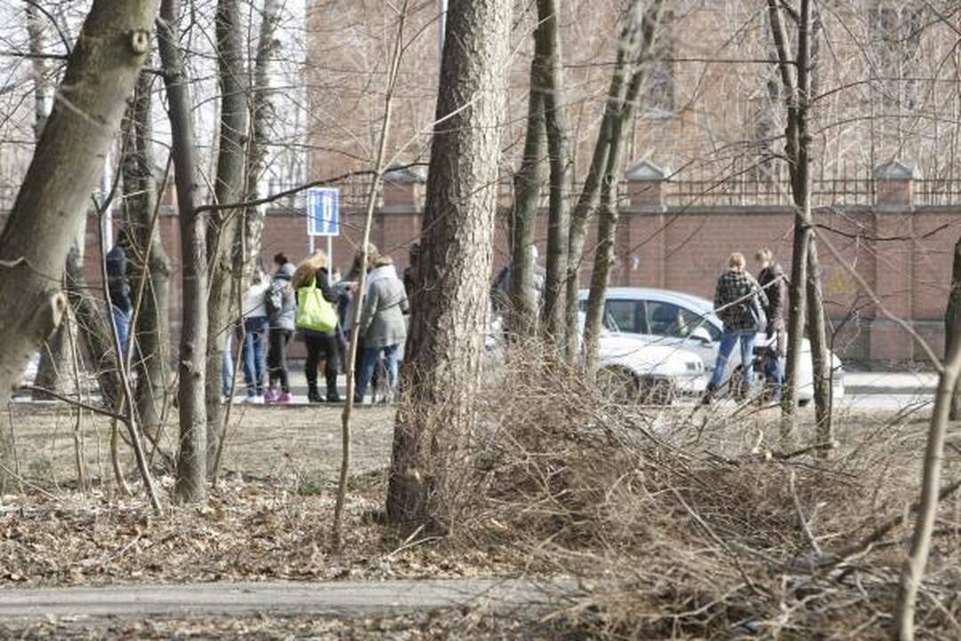 Klaipėdos poilsio parke virsta medžiai