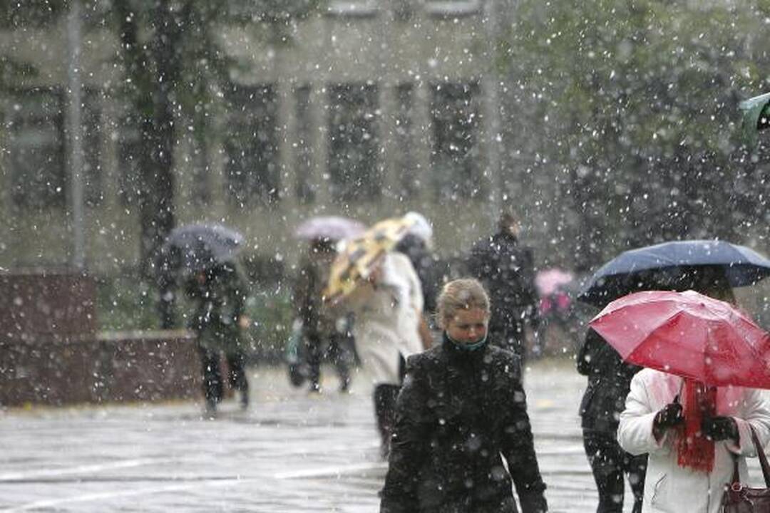 Pirmojo sniego ir vėjo išdaigos: nuvirtę medžiai, išdaužyti stiklai (papildyta)