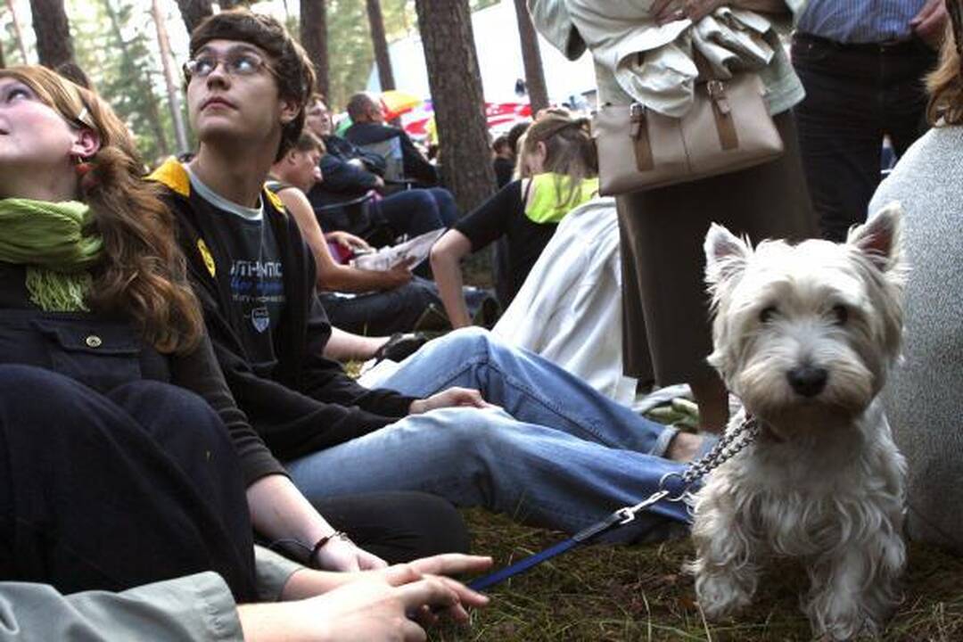 Bardų festivalio „Akacijų alėja“ programa ir dalyviai