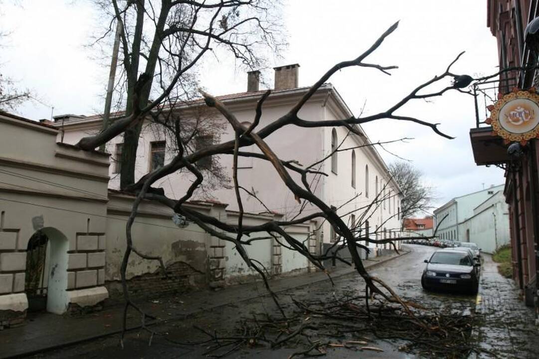 Vėtra Vilniuje ir apylinkėse didelių bėdų nepadarė (papildyta)