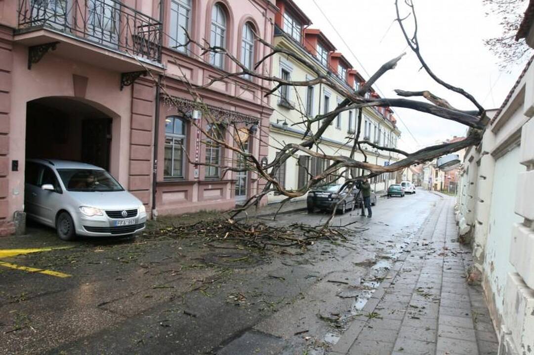 Vėtra Vilniuje ir apylinkėse didelių bėdų nepadarė (papildyta)