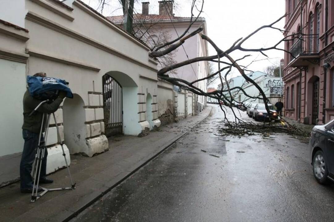 Vėtra Vilniuje ir apylinkėse didelių bėdų nepadarė (papildyta)