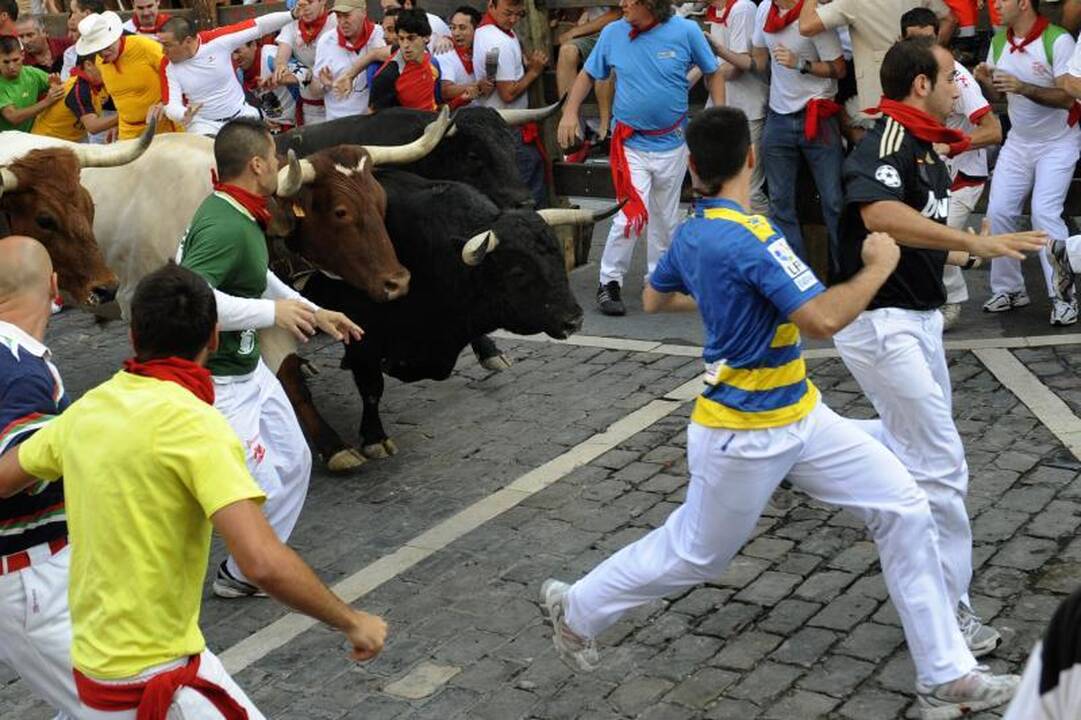 San Fermino festivalyje buliai subadė du žmones (papildyta)