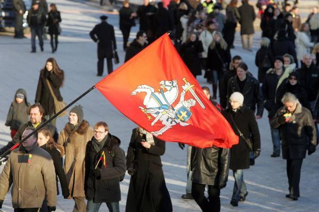 Patriotiško jaunimo eitynės patriotizmu neapsiribojo (papildyta)