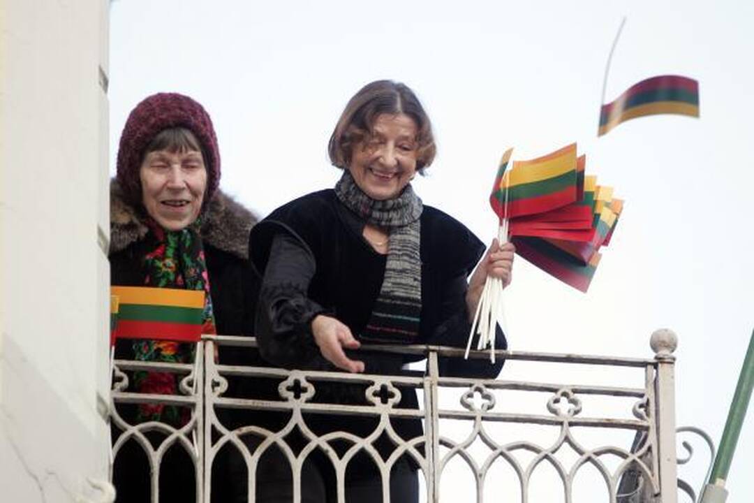 Patriotiško jaunimo eitynės patriotizmu neapsiribojo (papildyta)