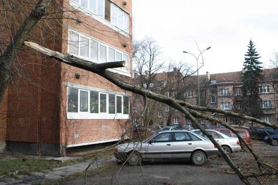 Stiprus vėjas naktį nusiaubė pajūrį (atnaujinta 15:58 val.)