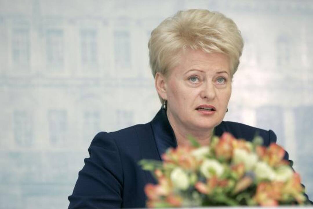 Prezidentė nevyks į Lenkijos ir Baltijos šalių prezidentų susitikimą