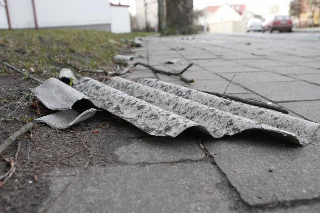 Stiprus vėjas naktį nusiaubė pajūrį (atnaujinta 15:58 val.)