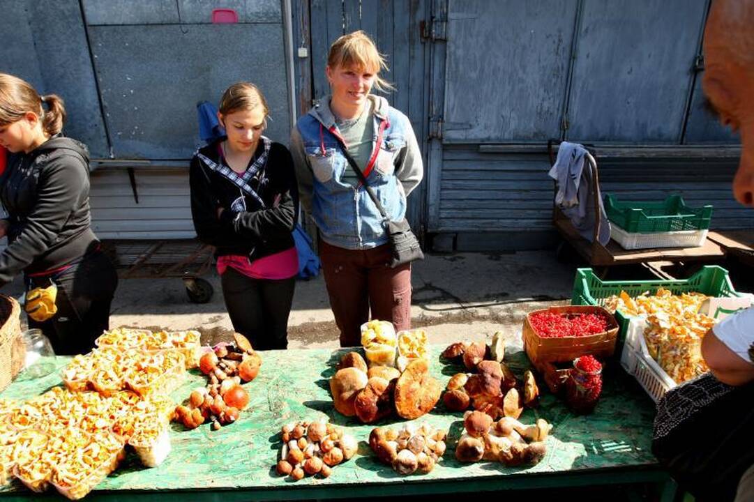 15 litų – už baravykus, 10 litų – už mėlynes