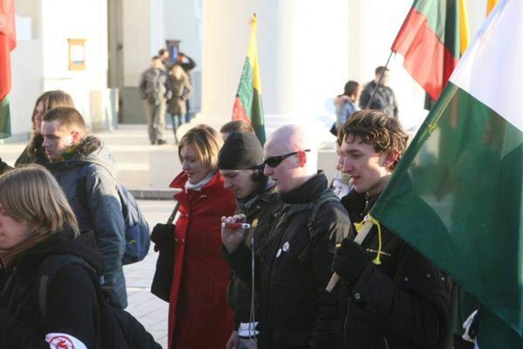 Patriotiško jaunimo eitynės patriotizmu neapsiribojo (papildyta)