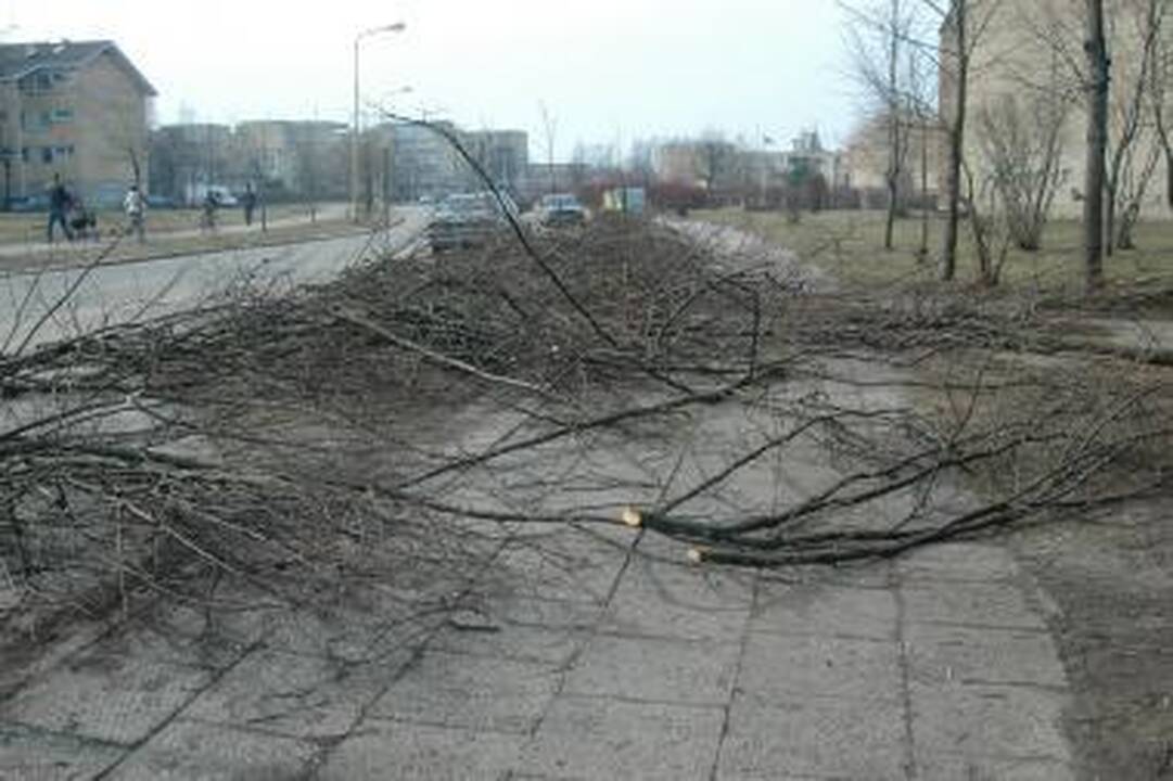 Biodegraduojančias atliekas raginami palikti prie konteinerių