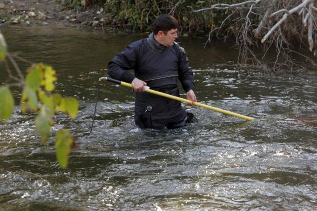 Į lašišų žvejybą mokslininkai eina su chirurgo instrumentais