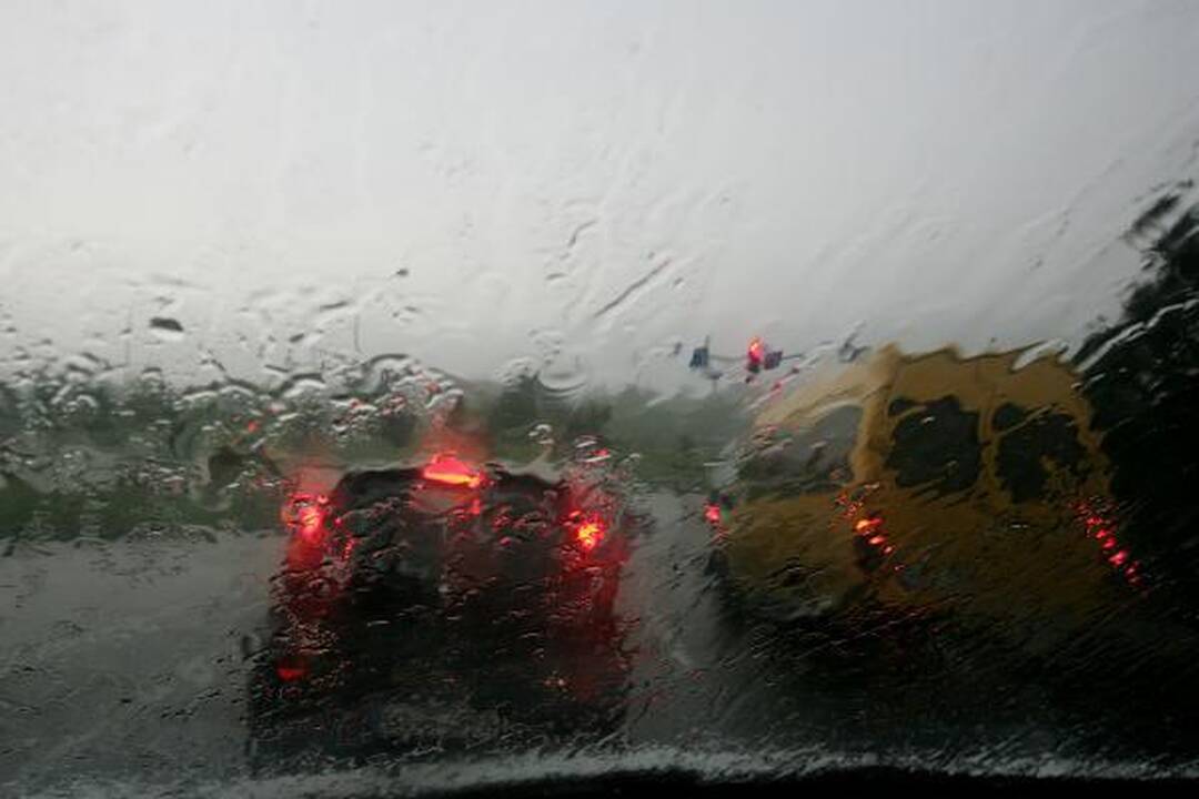 Kauną žadėta liūtis aplenkė 