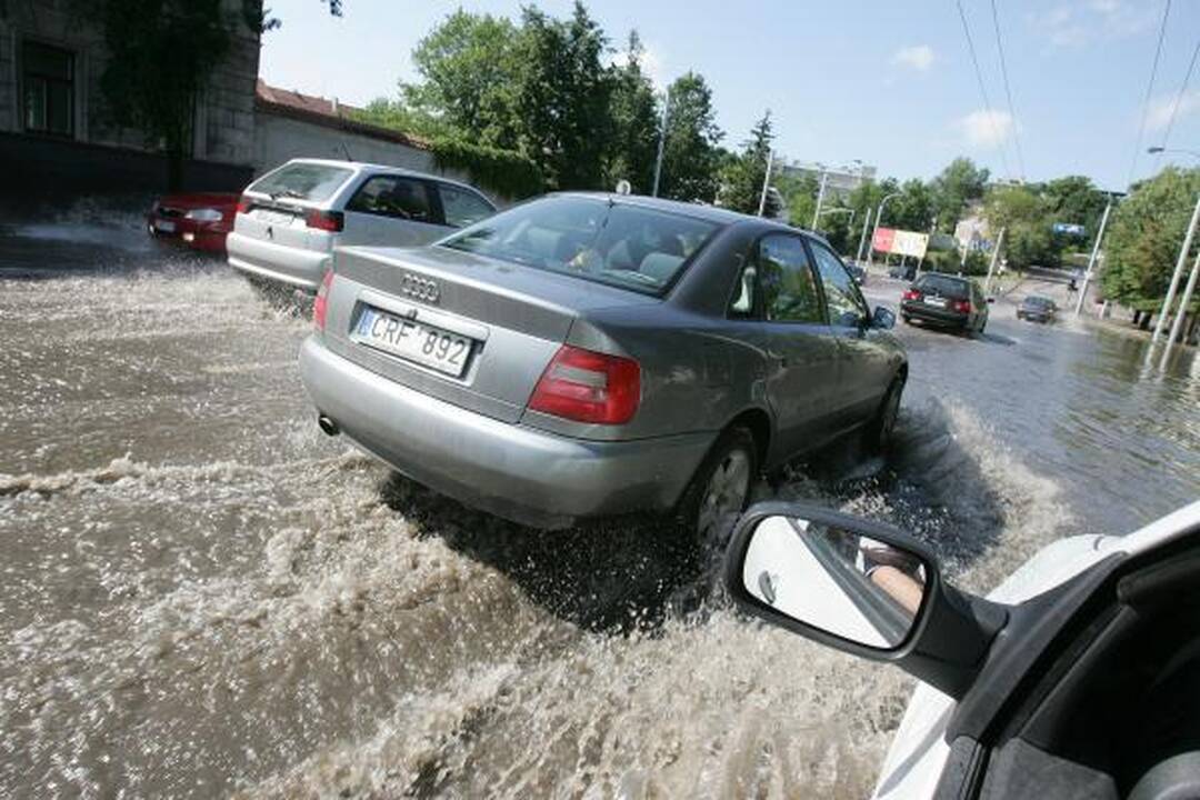 Kauną žadėta liūtis aplenkė 