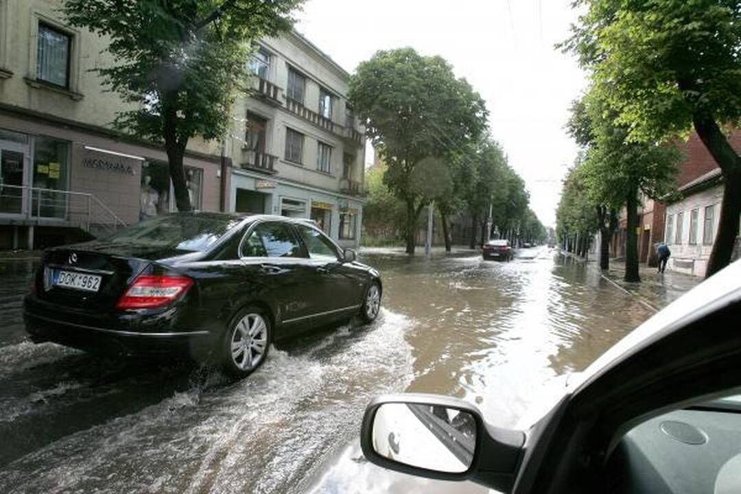 Kauną žadėta liūtis aplenkė 