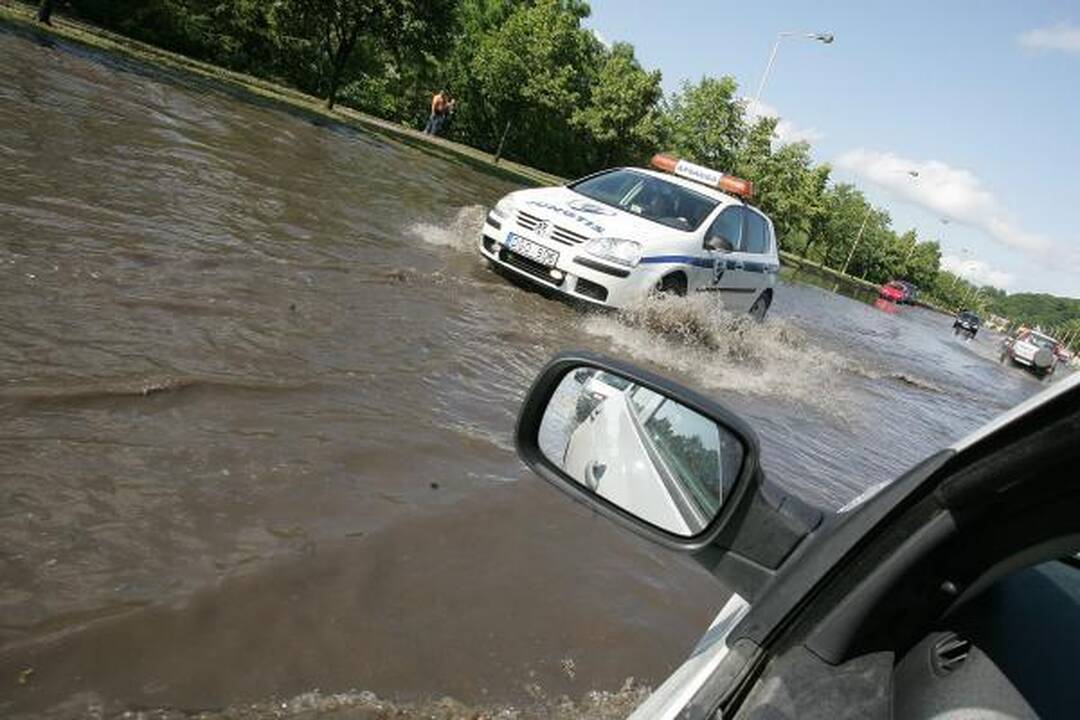Kauną žadėta liūtis aplenkė 