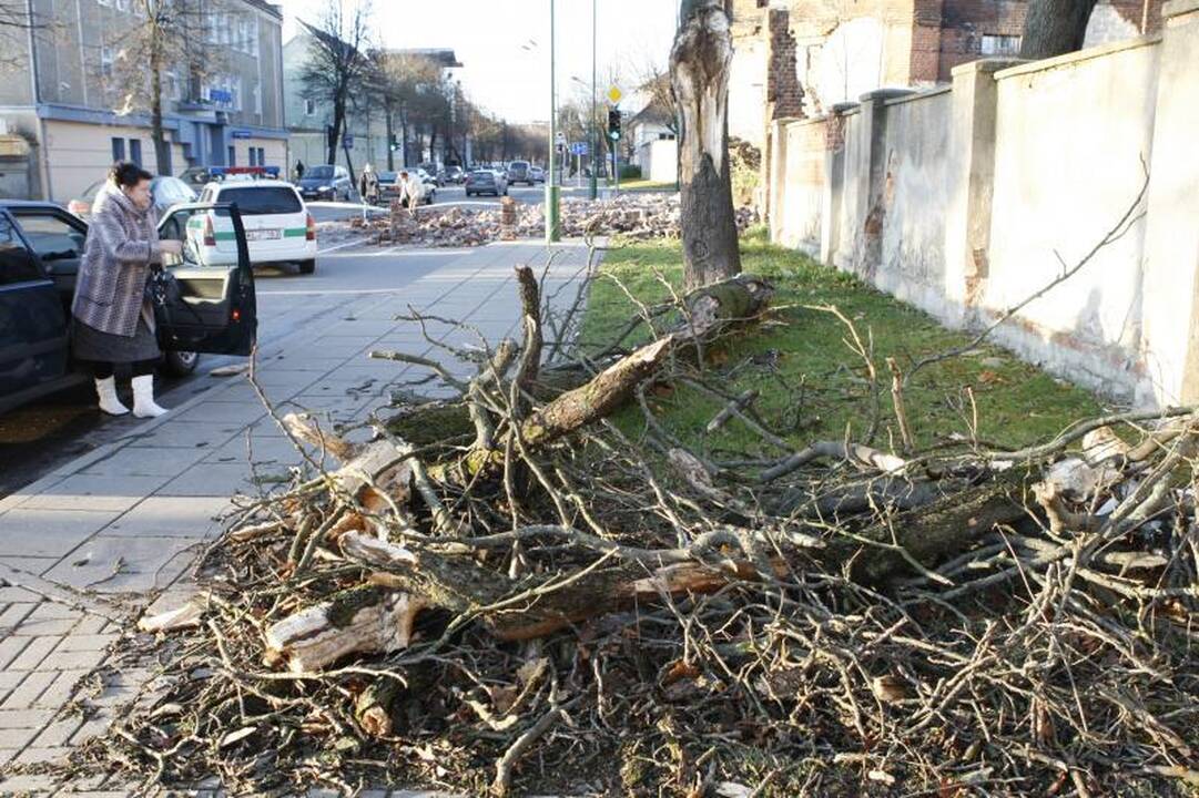 Stiprus vėjas naktį nusiaubė pajūrį (atnaujinta 15:58 val.)