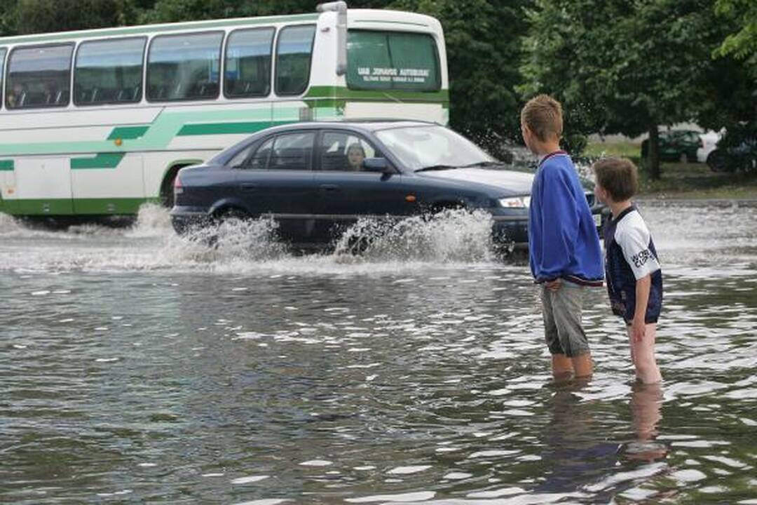 Kauną žadėta liūtis aplenkė 