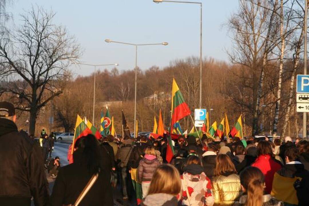Patriotiško jaunimo eitynės patriotizmu neapsiribojo (papildyta)