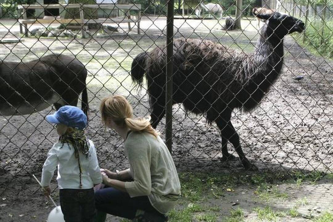 Zoologijos sodo gimtadienis – su naujais augintiniais