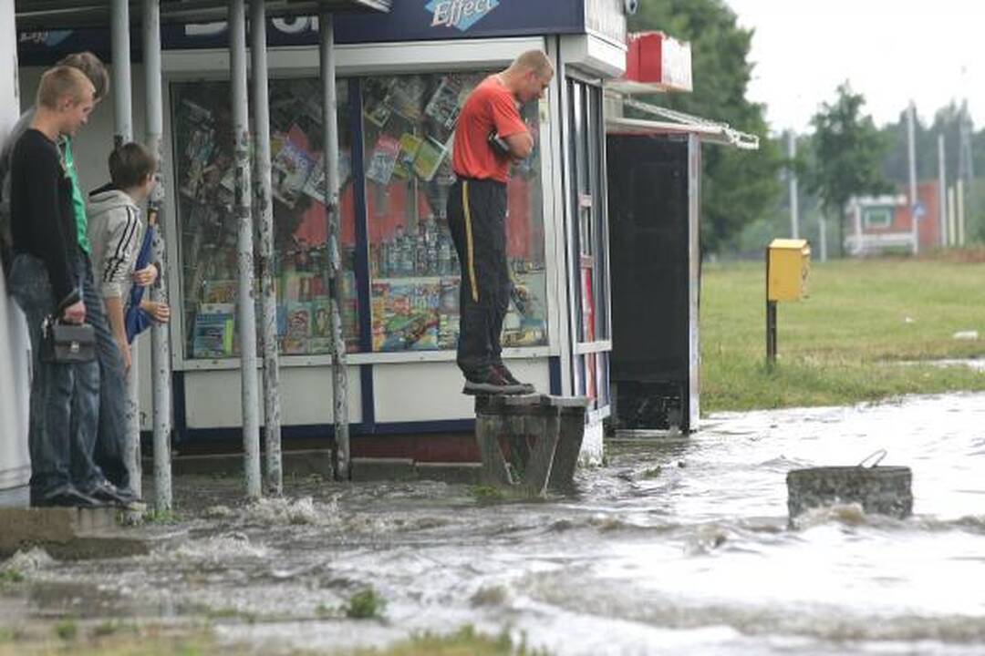 Kauną žadėta liūtis aplenkė 
