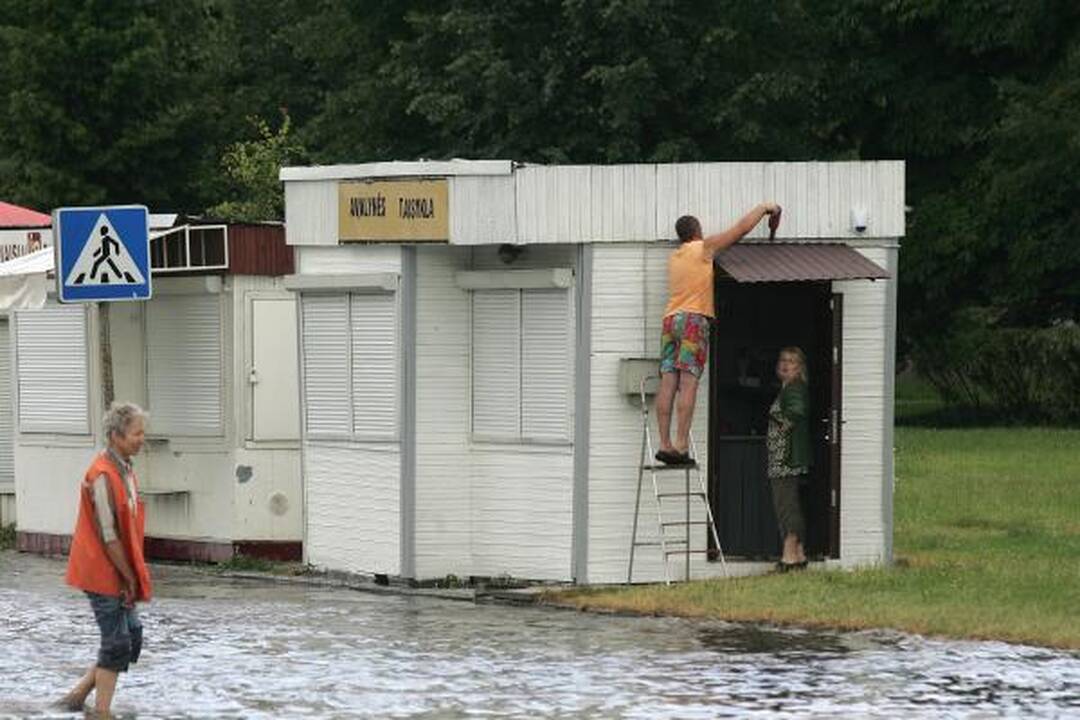 Kauną žadėta liūtis aplenkė 