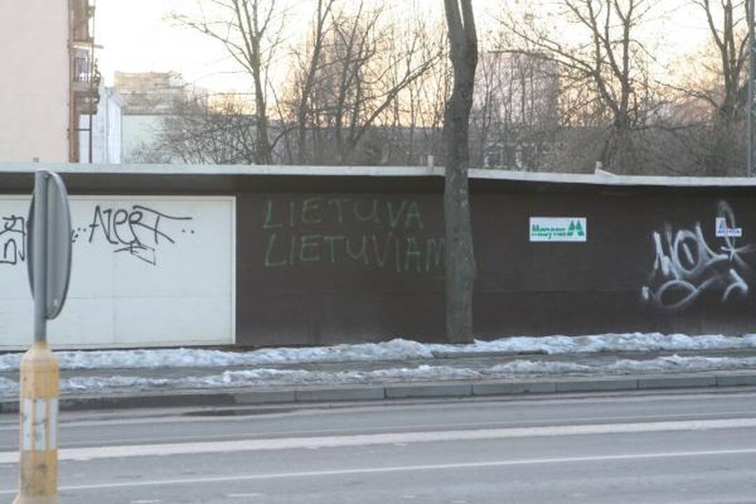 Patriotiško jaunimo eitynės patriotizmu neapsiribojo (papildyta)