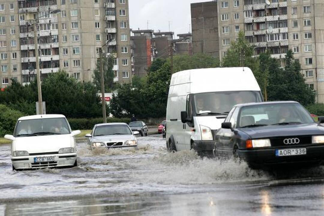 Kauną žadėta liūtis aplenkė 