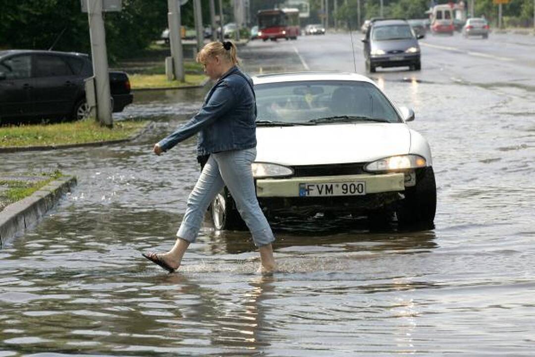 Kauną žadėta liūtis aplenkė 