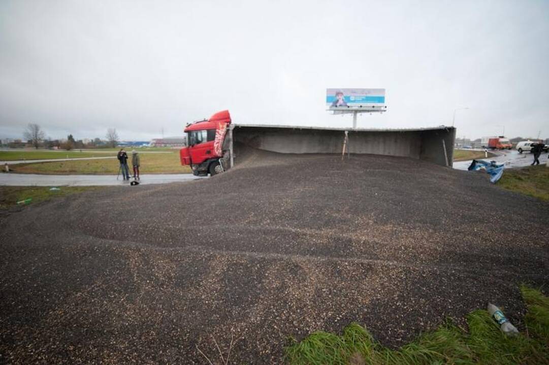 Vilkikas Kauno pakraštyje išpylė 25 tonas saulėgrąžų
