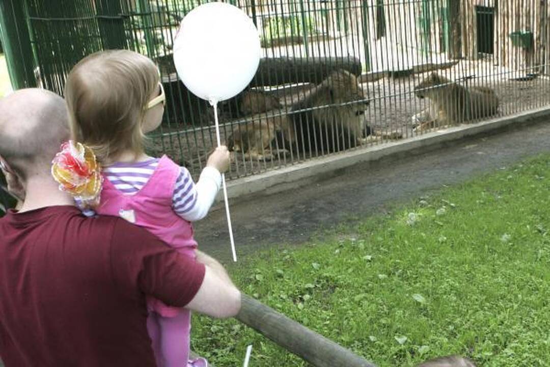 Zoologijos sodo gimtadienis – su naujais augintiniais