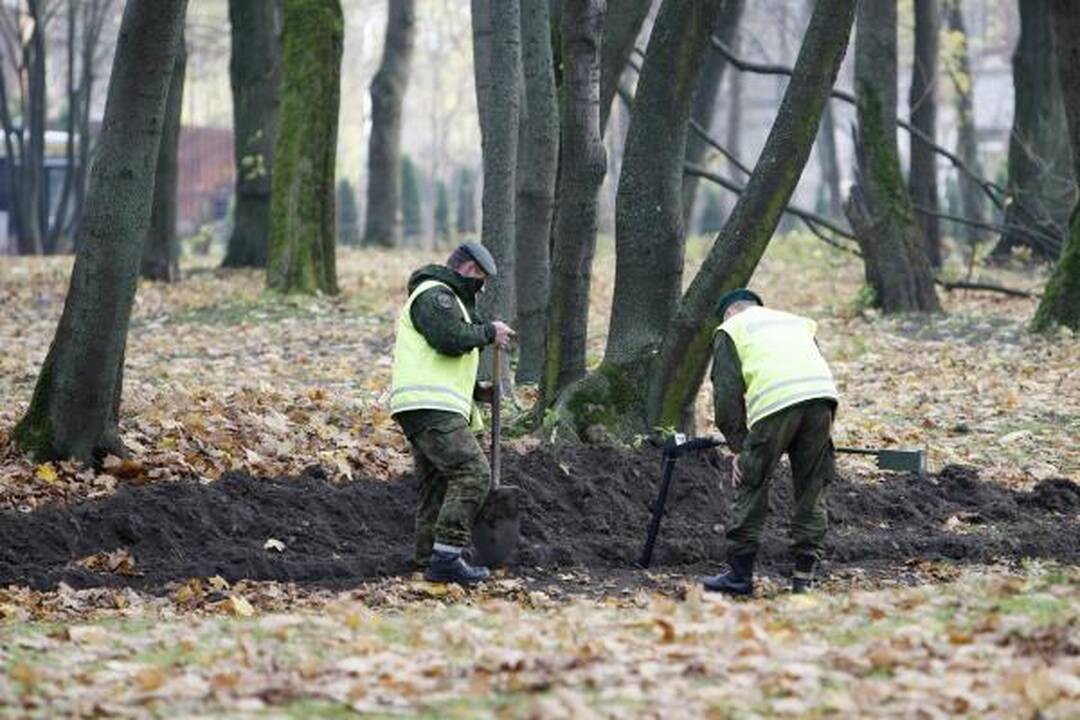 Skulptūrų parke rasta sprogmenų