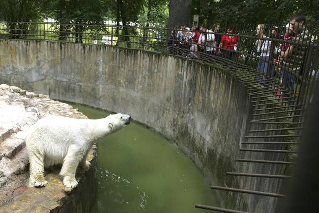 Zoologijos sodo gimtadienis – su naujais augintiniais