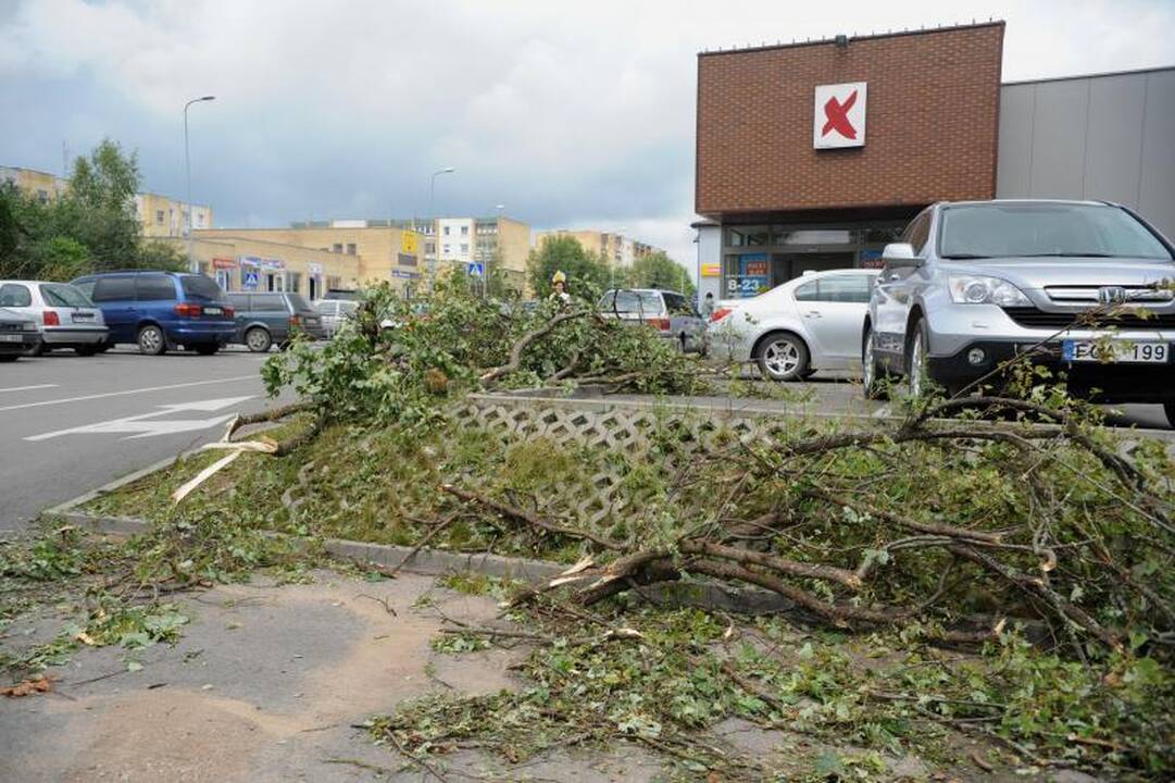 Elektros Šalčininkuose vis dar neturi 80 vartotojų