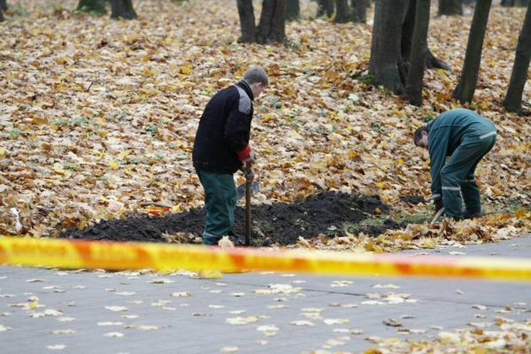 Skulptūrų parke rasta sprogmenų