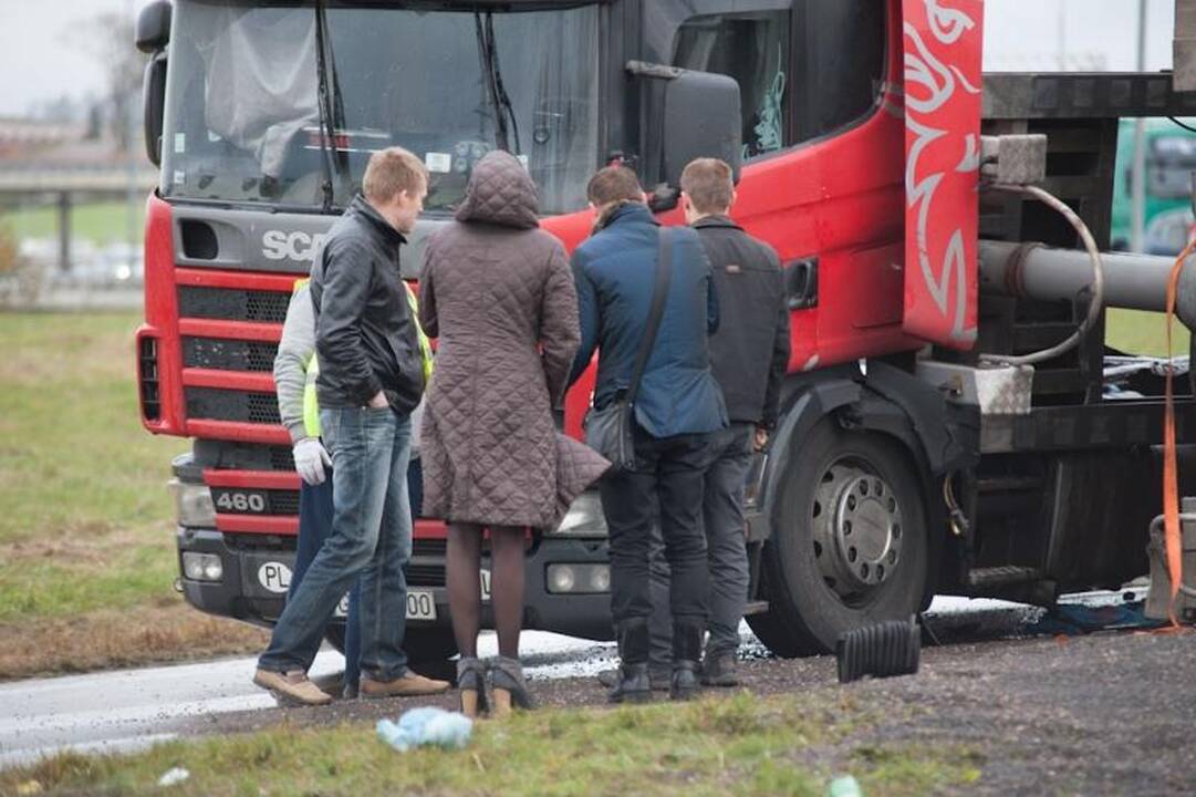 Vilkikas Kauno pakraštyje išpylė 25 tonas saulėgrąžų