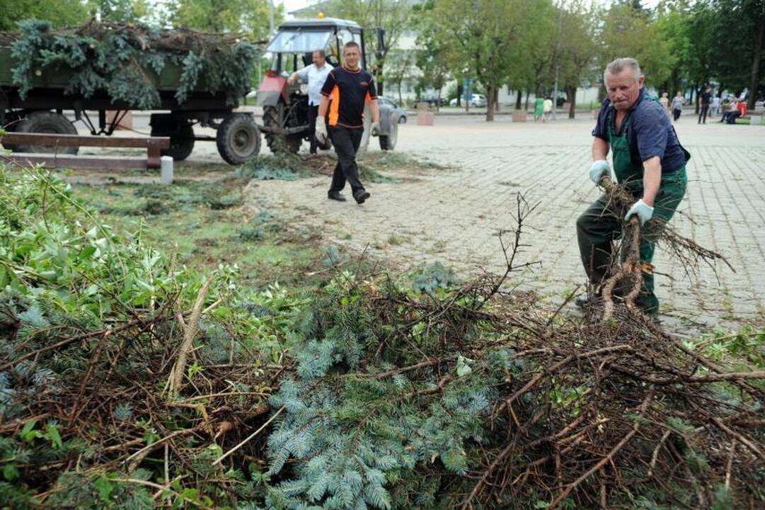 Elektros Šalčininkuose vis dar neturi 80 vartotojų