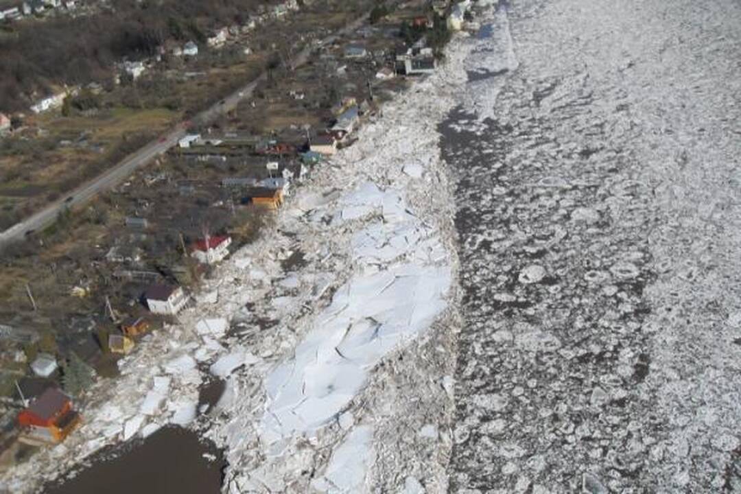 Neris priviliojo gausybę smalsuolių, Nevėžis išsiliejo į pievas (dar papildyta)