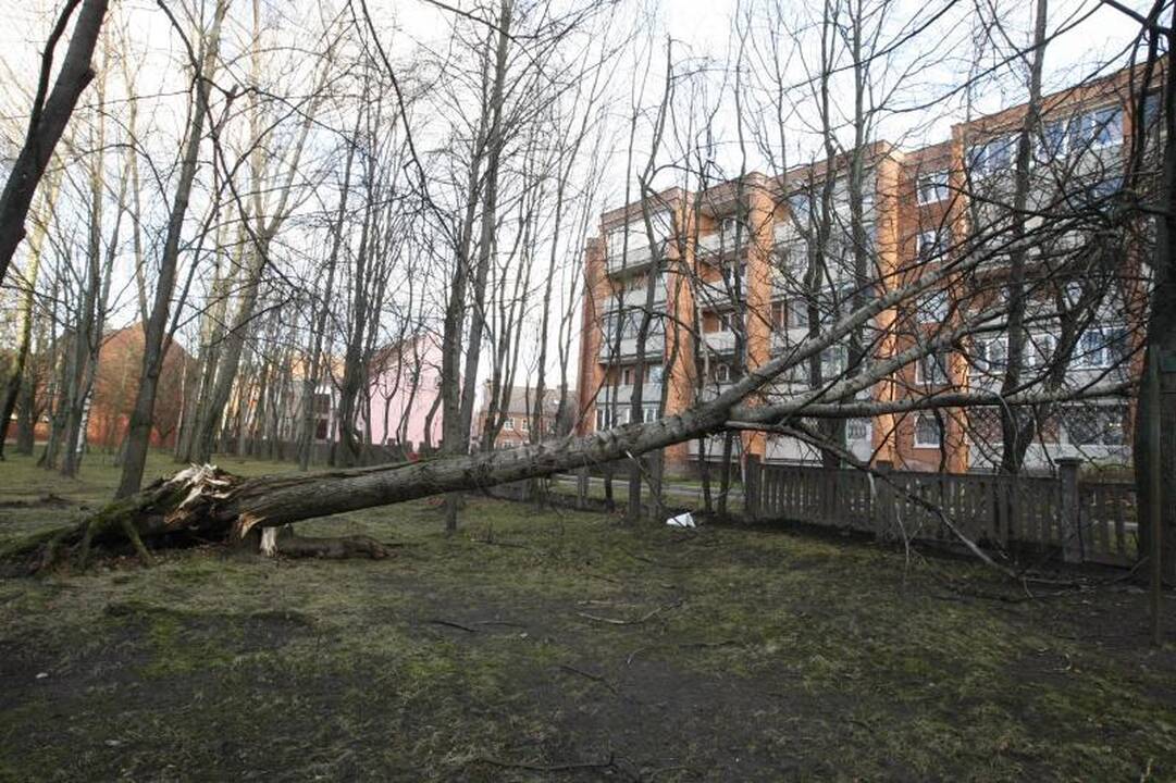 Stiprus vėjas naktį nusiaubė pajūrį (atnaujinta 15:58 val.)