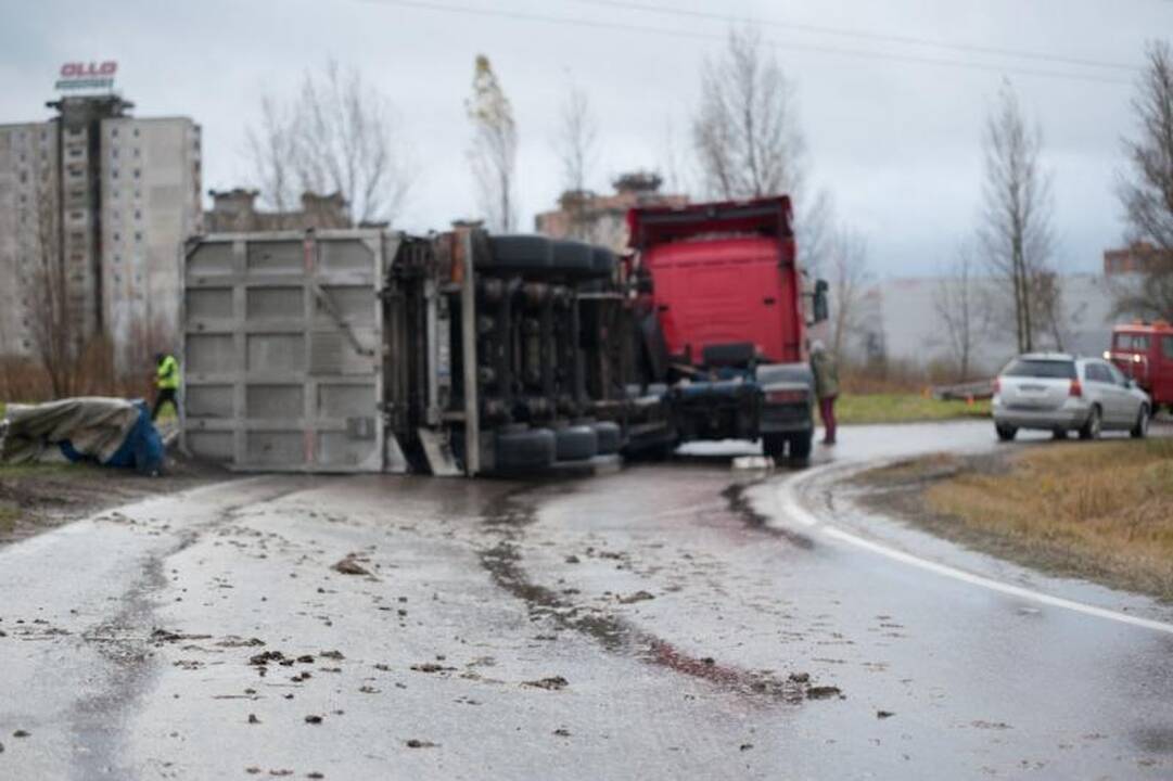 Vilkikas Kauno pakraštyje išpylė 25 tonas saulėgrąžų