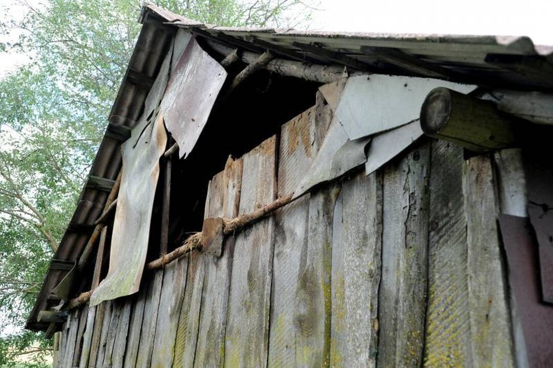 Elektros Šalčininkuose vis dar neturi 80 vartotojų