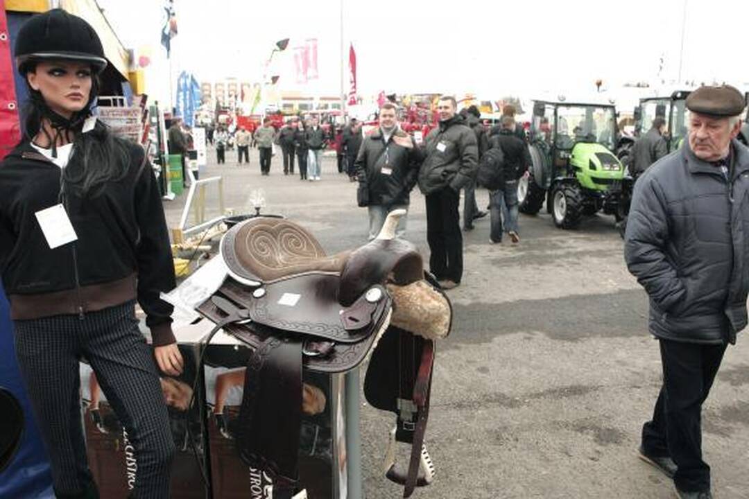 LŽŪU - tradicinė žemės ūkio paroda „Ką pasėsi…" (programa)