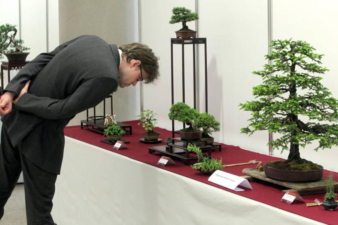 Vilniuje – Japonijos kultūros šventė