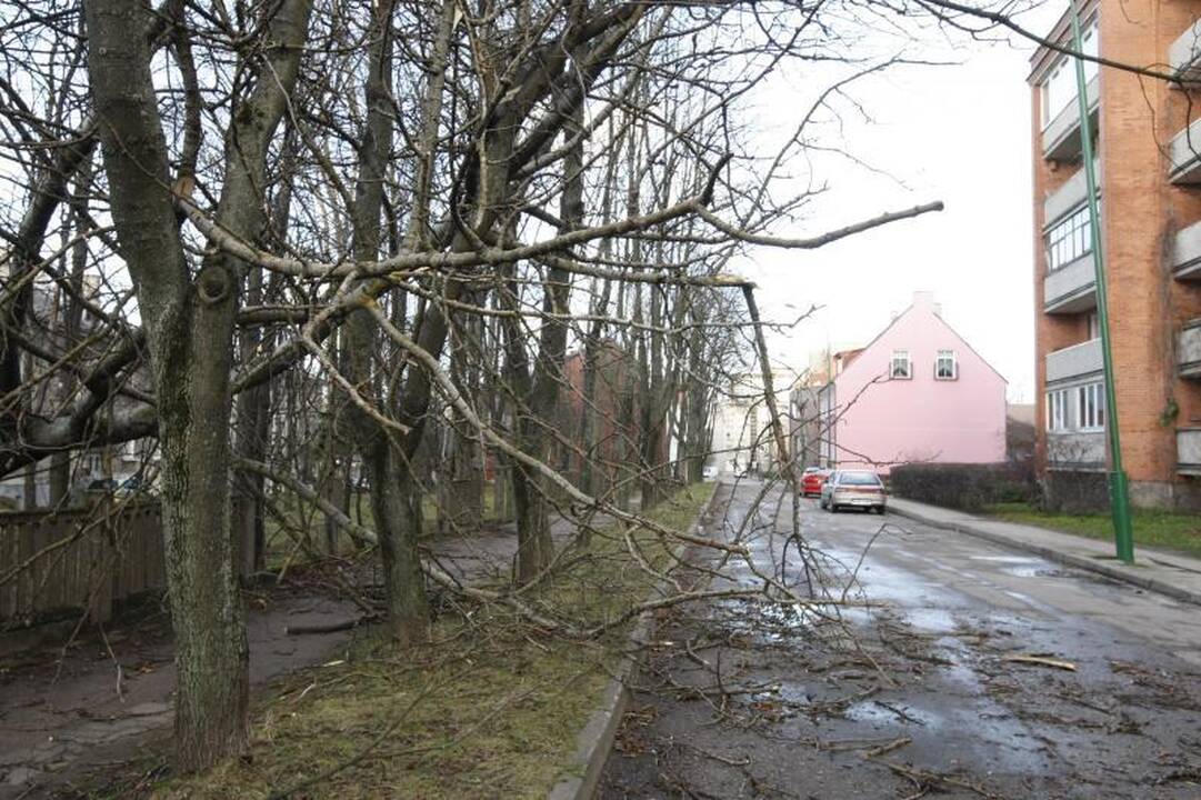 Stiprus vėjas naktį nusiaubė pajūrį (atnaujinta 15:58 val.)