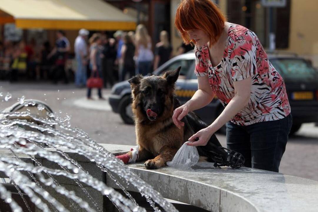 Savaitė bus sausa ir saulėta, kaitra trauksis