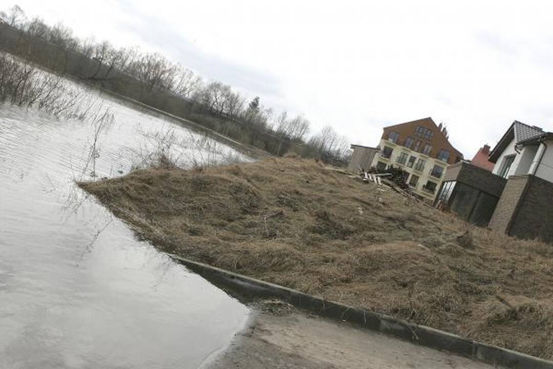 Neris priviliojo gausybę smalsuolių, Nevėžis išsiliejo į pievas (dar papildyta)