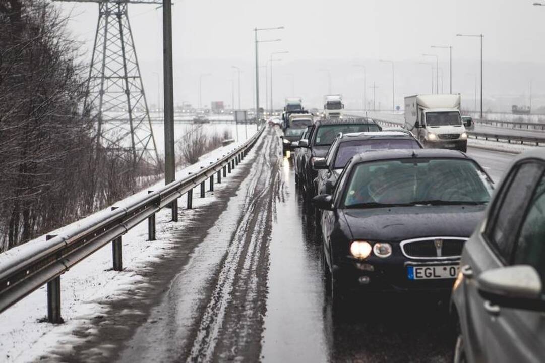 Žemės ūkio paroda „Ką pasėsi... 2013“ prasidėjo įspūdingomis spūstimis